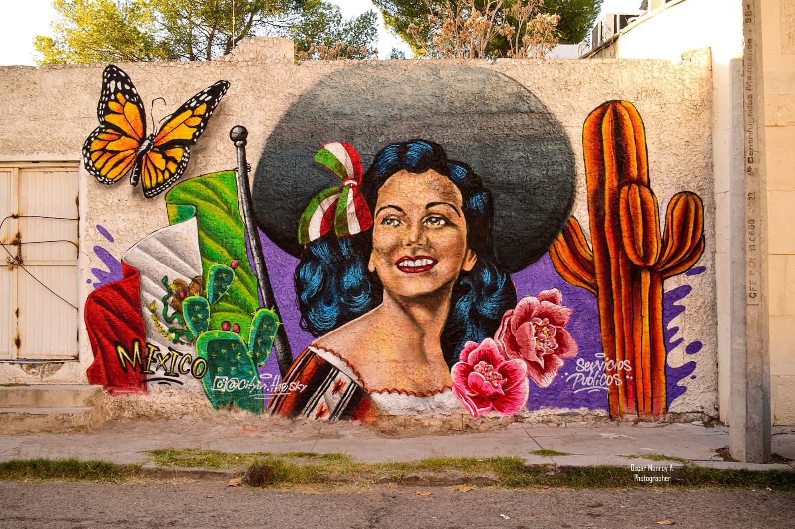 Adelita mexicana con mariposa monarca y bandera