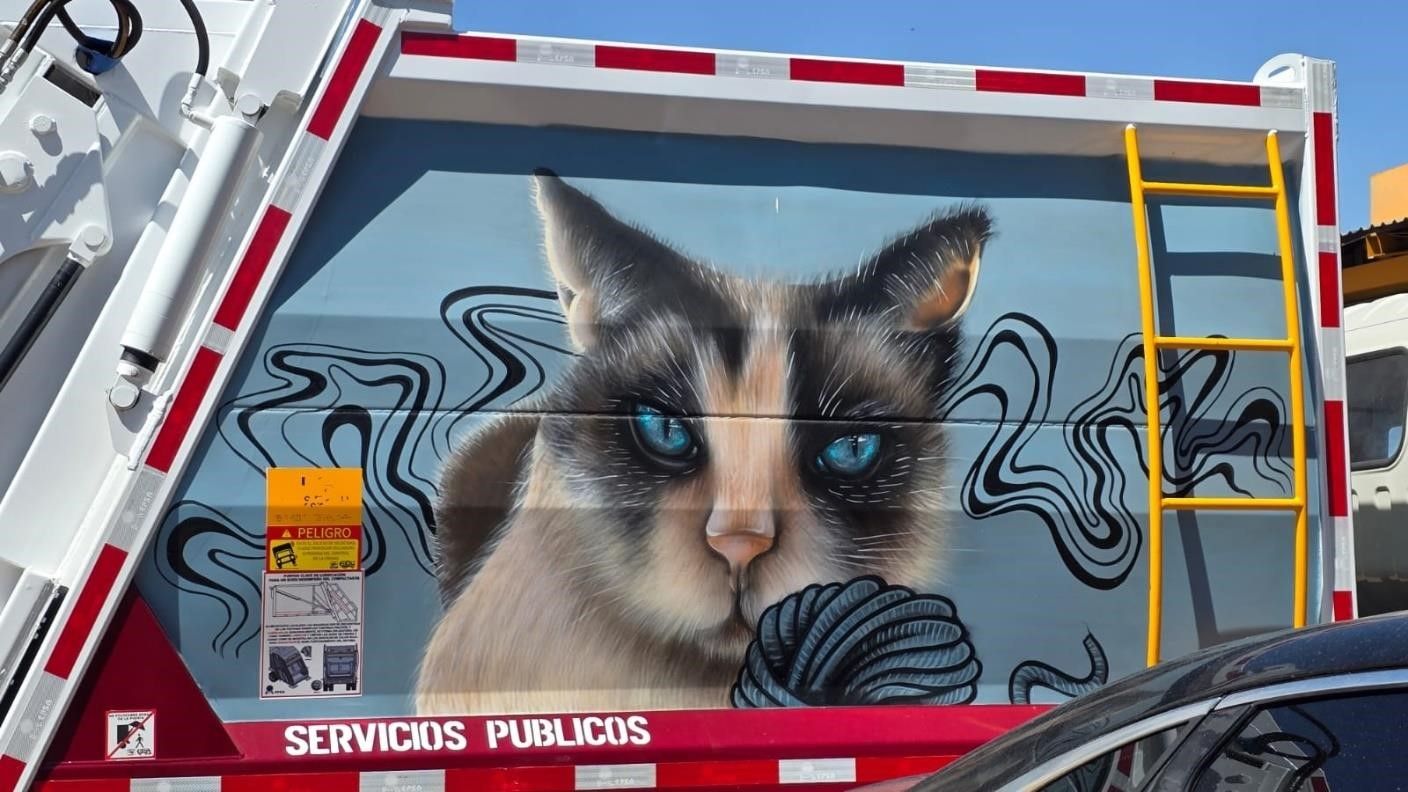 Retrato de gato de ojos azules en camión de Servicios Públicos